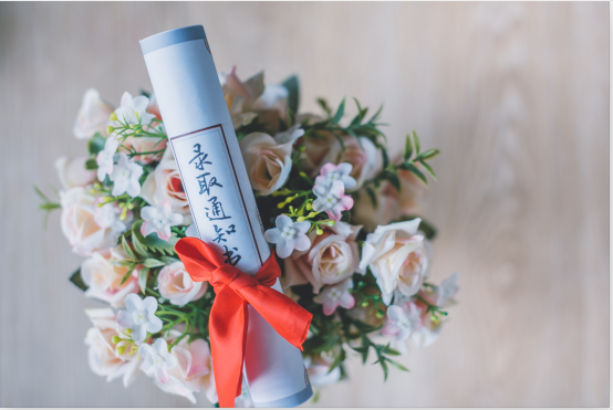 2019高考志愿填报技巧?高考如何填报志愿?